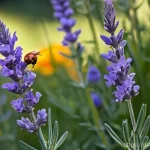 Home 19 곤충 생태계 보존 방안 - **Prompt:** A serene and slightly melancholic outdoor scene, depicting a rich tapestry of small, del...