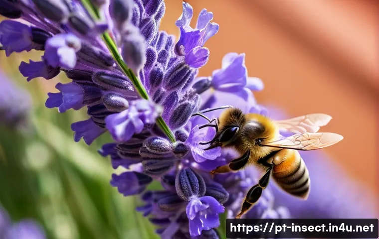 곤충과 도시 생태계 - **A vibrant macro photograph of a bee collecting pollen from a lavender flower in a Lisbon rooftop g...