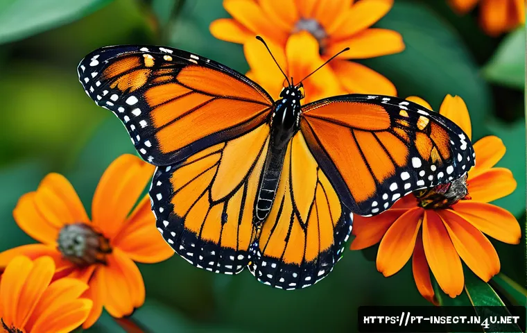 곤충 전시회 정보 - A vibrant close-up of a Monarch butterfly resting on a bright orange flower in a lush tropical garde...
