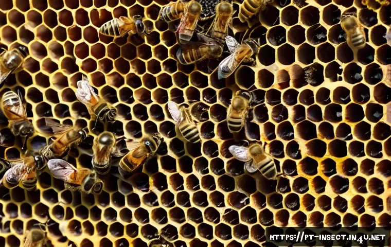 Descubra o Fascinante Mundo dos Insetos na Maior Exposição Interativa do Brasil 3 곤충 전시회 정보 관련 이미지 1