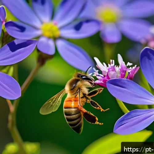 곤충 생태계 체험 프로그램 - A detailed close-up of a honeybee actively pollinating a vibrant, colorful flower in a lush garden d...